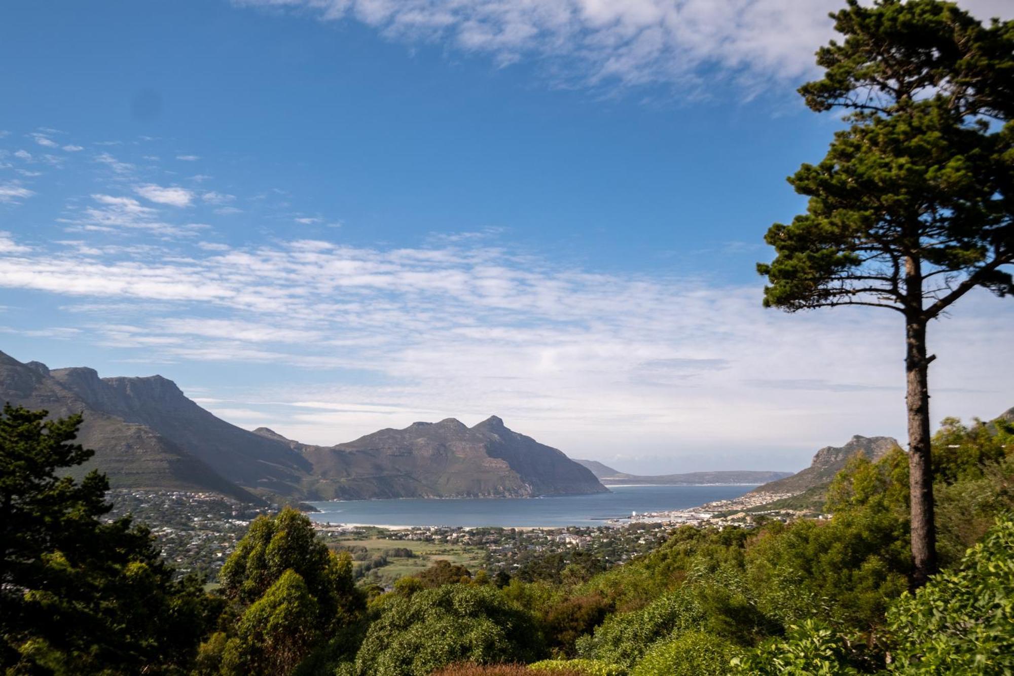 Dreamhouse Guest House Hout Bay Kültér fotó